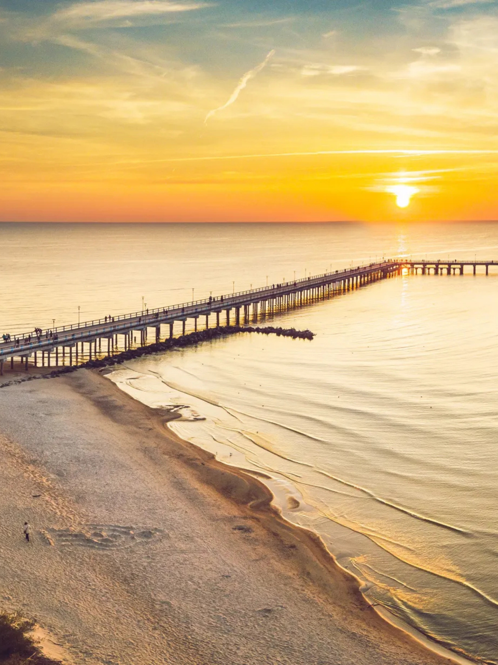 Untitled design (28)